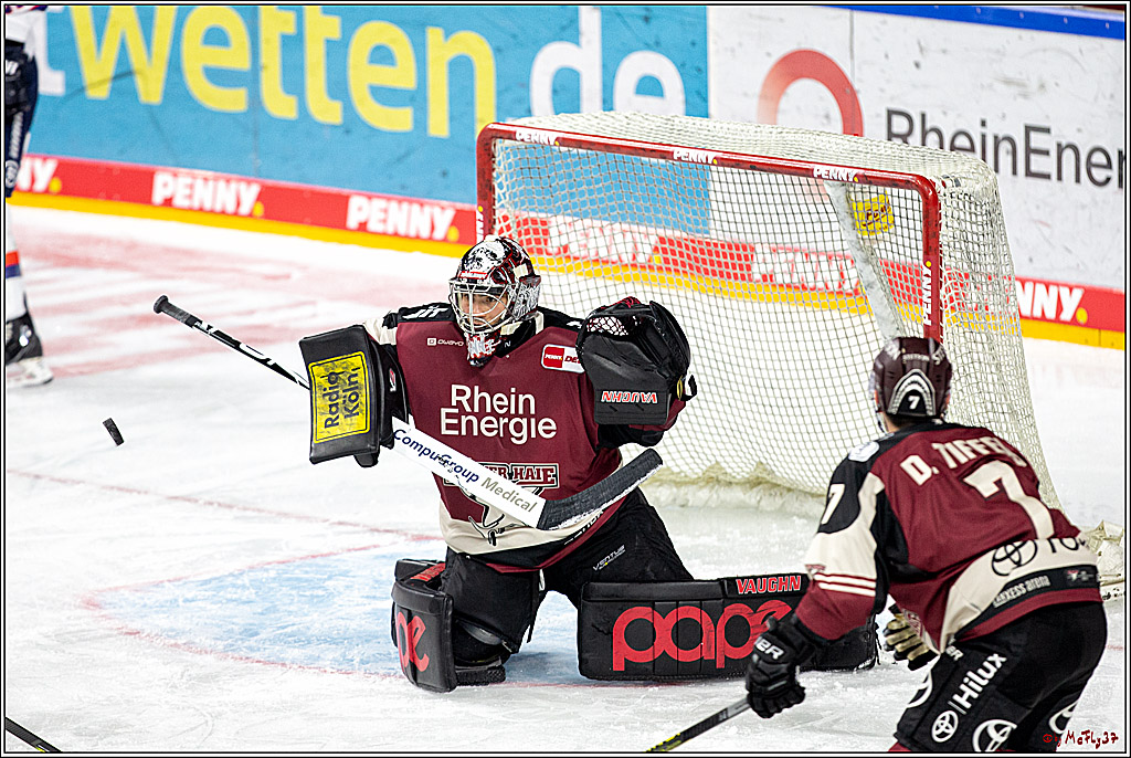 PENNY DEL;  Koelner Haie - Iserlohn Roosters; Koeln, 11.01.2021